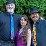 Cedar Mill Park Concert August 9th