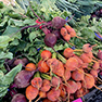 Farmers Market August News