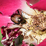 We're winning against the Japanese beetle!