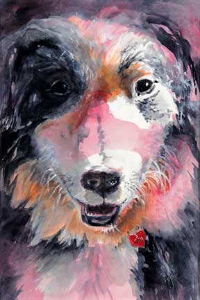 osa the dog
