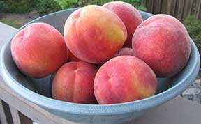 peaches