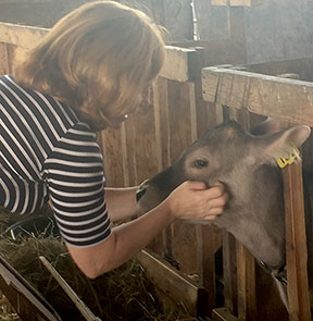 Casey and the calf