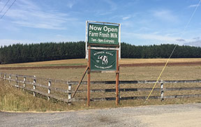 Schoch sign
