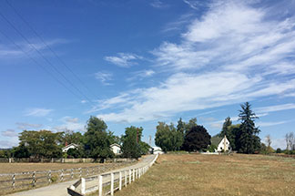Schoch Dairy