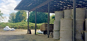 Schoch Dairy feeding area