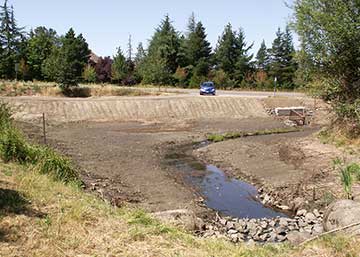 saltzman wetland pond