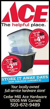 Ace Hardware