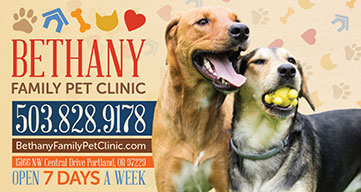 Bethany Family Vet