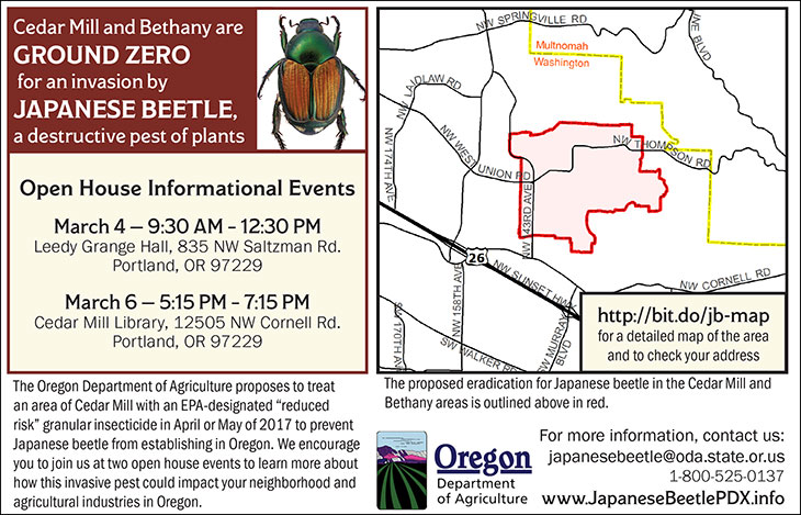 Japanese beetle eradication ad