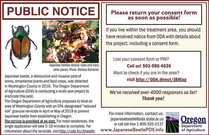 Japanese Beetle campaign