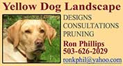 yellow dog
