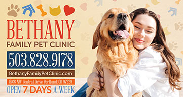 Bethany Family Vet