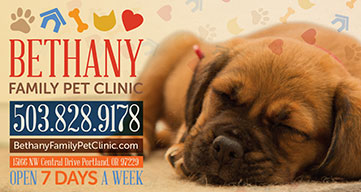 Bethany Family Vet