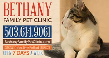 Bethany Vet