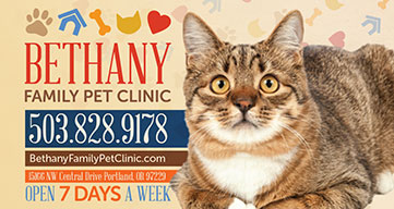 Bethany Family Vet