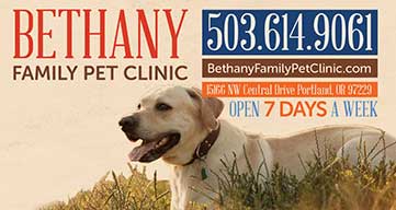 Bethany Vet
