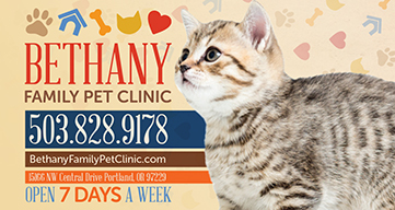 Bethany Family Vet