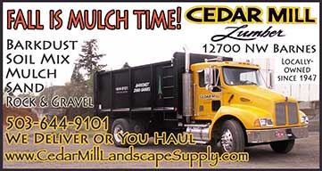 CM Lumber