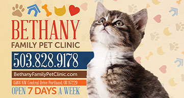 Bethany Family Vet