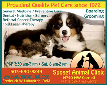 Sunset Animal Clinic