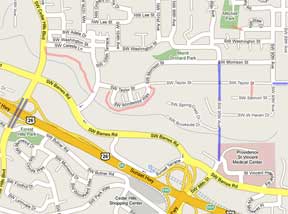 CPO1 Google Map