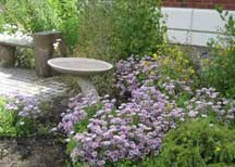 Raingarden