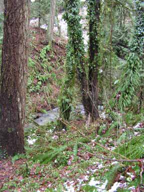 NE Park slopes