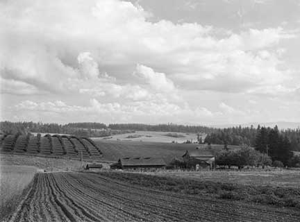 Walters Farm