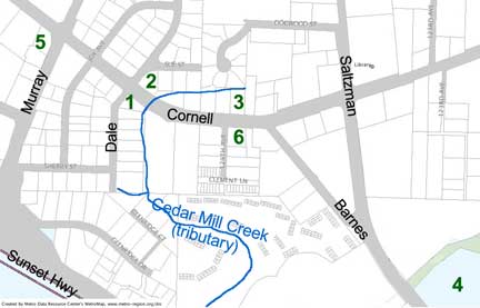 cornell map
