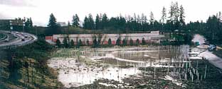wetland 97