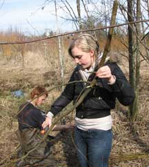 wetland pruning