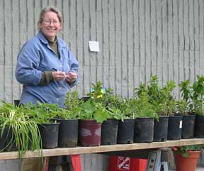 plant sale