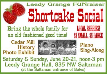 shortcake social