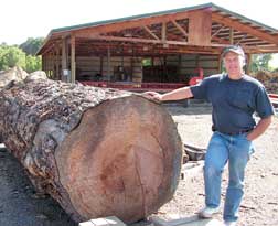 log and mill