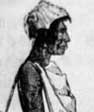 bauer
