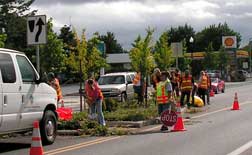 Cornell median weeding