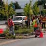Cornell Median