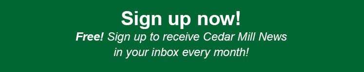 example ad