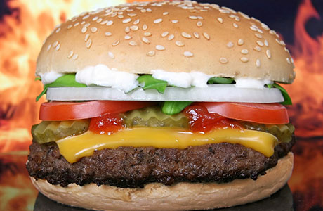 hamburger