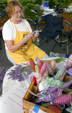 ursula working with lavender