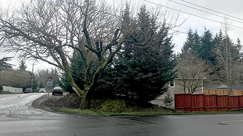 When we finally get around to putting in a sidewalk here, taxpayers will have to buy the ROW if there's even enough.