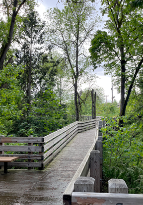 falls boardwalk