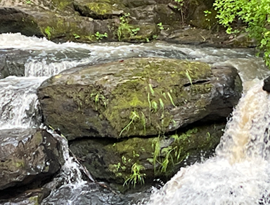 falls rocks