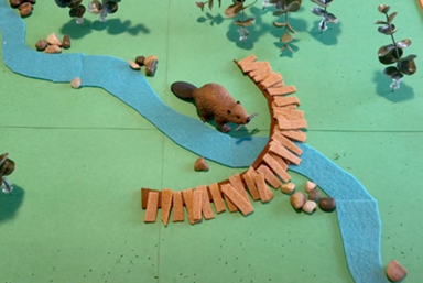 beaver video clip