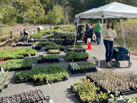 thprd plant sale