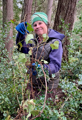 pulling ivy