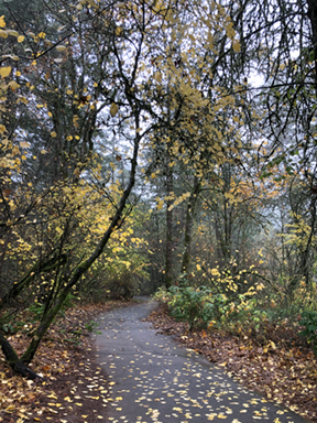 trail