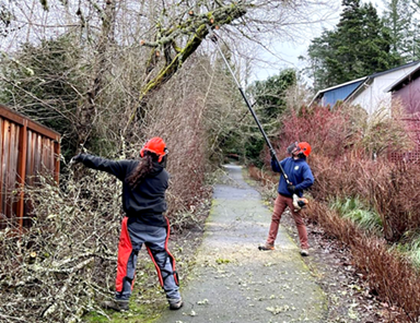 trail clearing