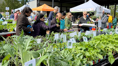 gardenfest