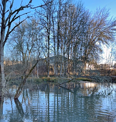 recuerdo park